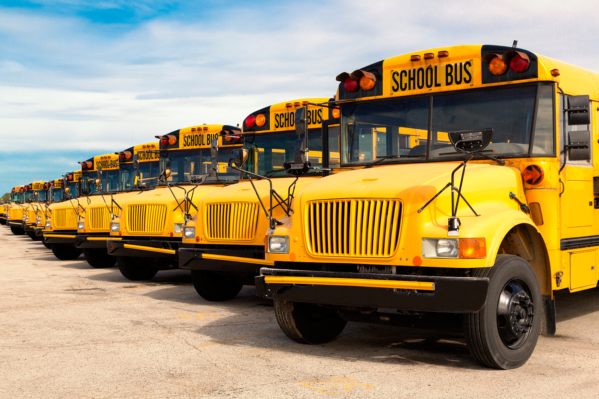 Multiple school busses in a parking lot. 