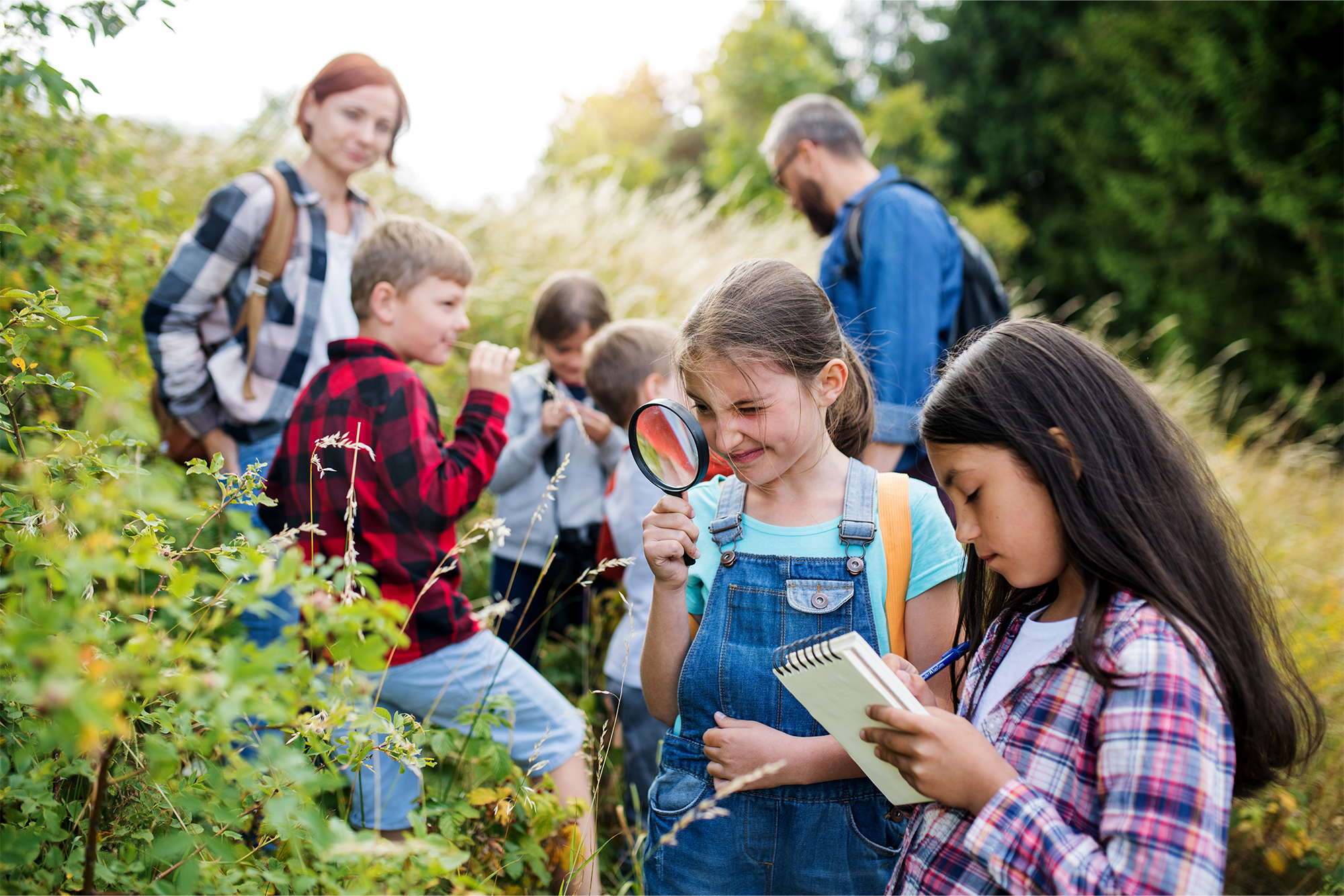 Navigating Liability Risks on School Field Trips: A group of small school children with teacher on field trip in nature, learning science.