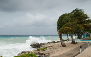 Hurricane Preparedness Week 2024: Three palm trees blowing in the wind near a beach with storm clouds brewing.