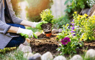 Living an eco-friendly lifestyle minimizes the negative impact you have on the natural world by contributing to reduced waste, conserved energy and lowered carbon dioxide emissions. Abiding by green principles is not only good for the planet—it can also help you stay healthy and save money. Consider implementing the following eco-friendly living tips within your home.